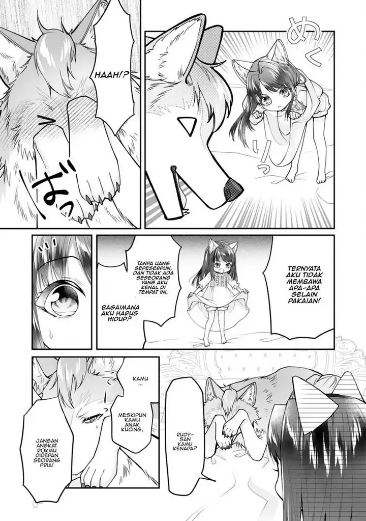 image-komik-neko-neko-youjo-no-aijou-gohan-isekai-de-mofumofu-tachi-ni-ryouri-wo-tsukurimasu-chapter-1-26/36
