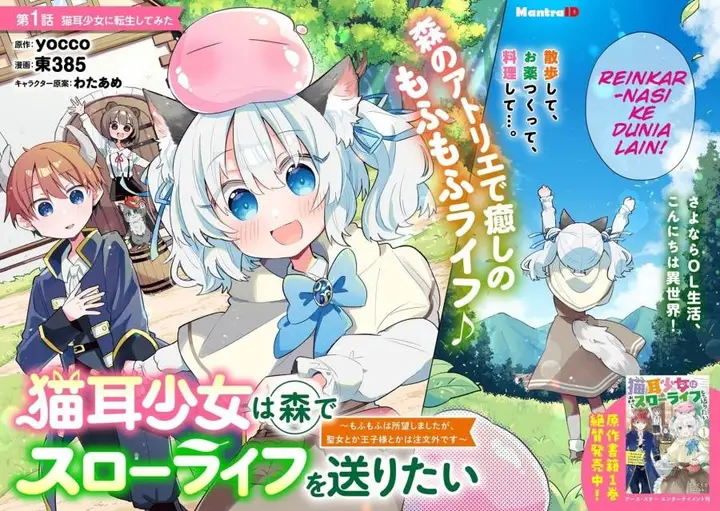 image-komik-nekomimi-shoujo-wa-mori-de-slow-life-wo-okuritai-mofumofu-wa-shomou-shimashita-ga-seijo-to-ka-ouji-sama-to-ka-wa-chuumongai-desu-chapter-1-1/30