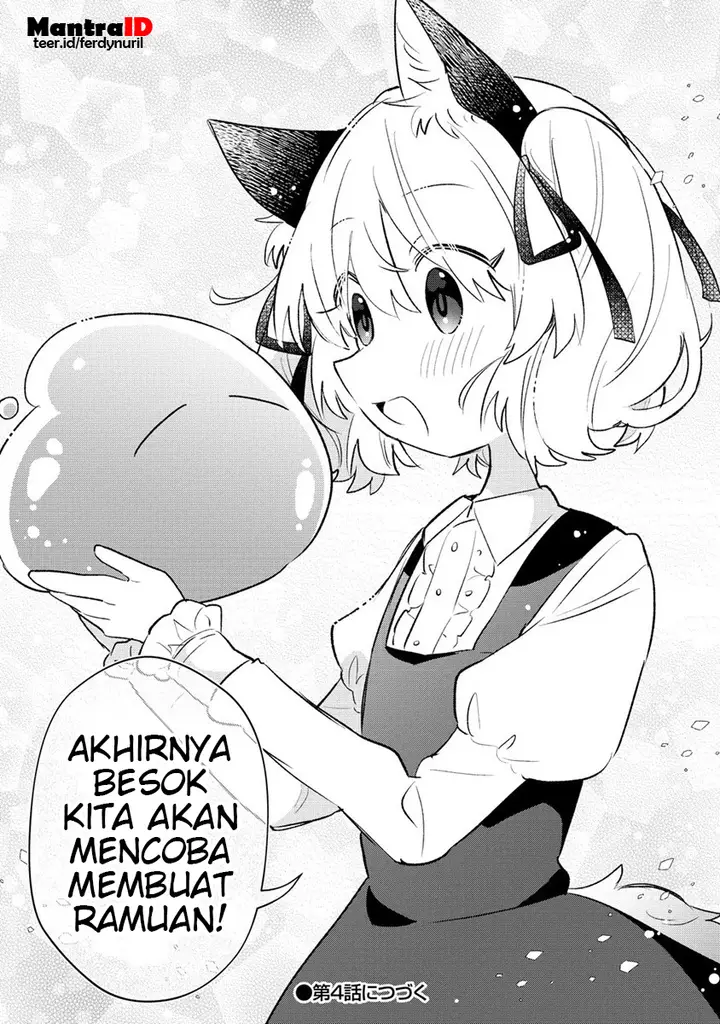 image-komik-nekomimi-shoujo-wa-mori-de-slow-life-wo-okuritai-mofumofu-wa-shomou-shimashita-ga-seijo-to-ka-ouji-sama-to-ka-wa-chuumongai-desu-chapter-3.2-11/13