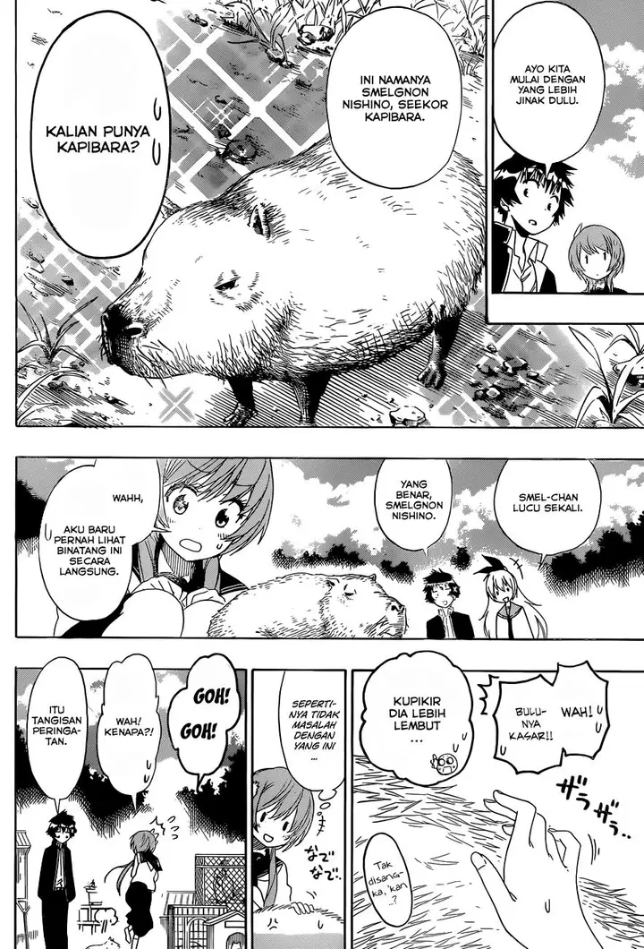 image-komik-nisekoi-chapter-142-4/19