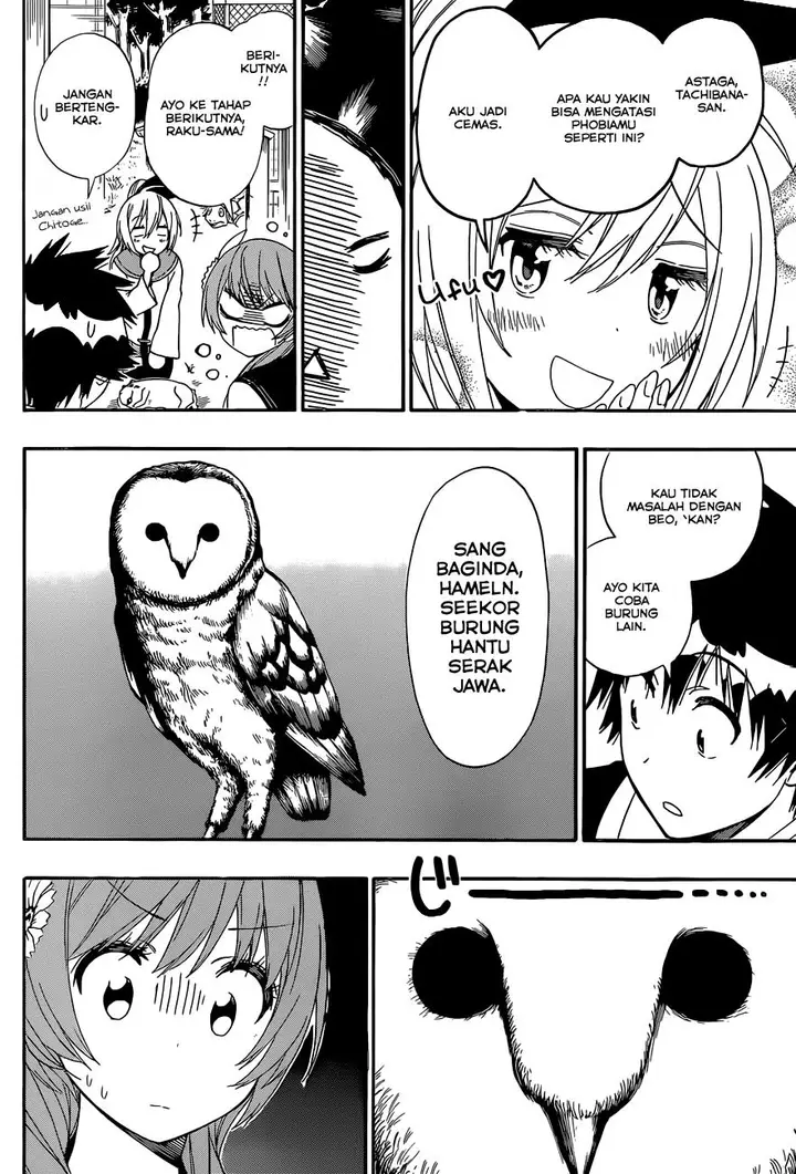 image-komik-nisekoi-chapter-142-6/19