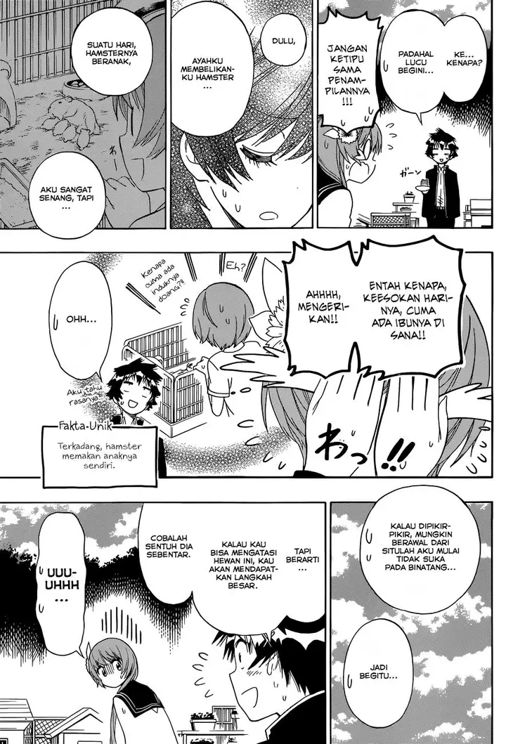 image-komik-nisekoi-chapter-142-13/19