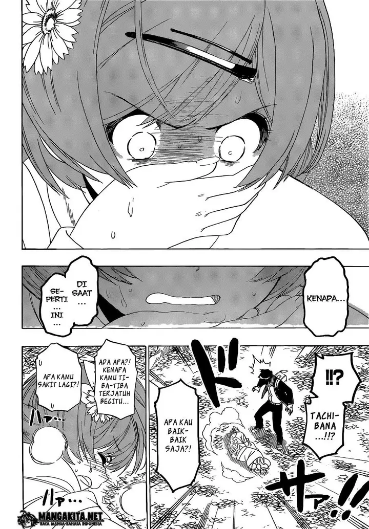 image-komik-nisekoi-chapter-181-5/18