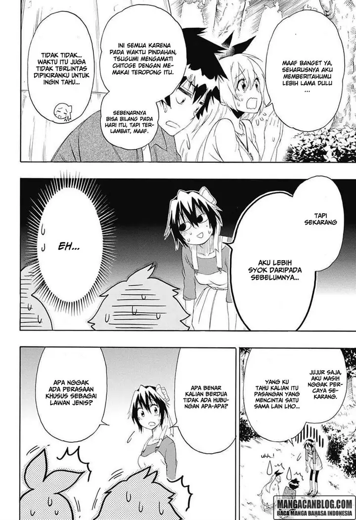 image-komik-nisekoi-chapter-204-15/21