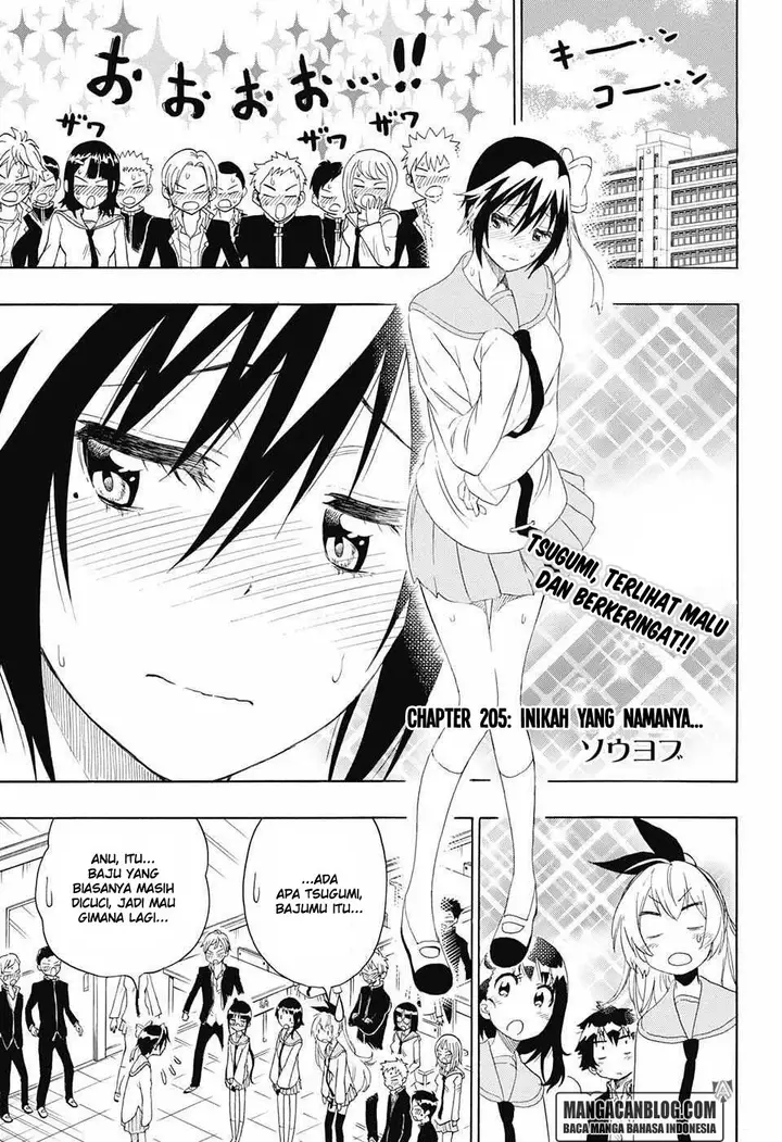 image-komik-nisekoi-chapter-205-1/20