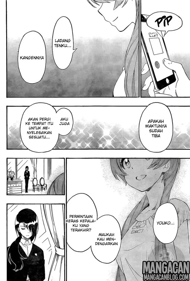 image-komik-nisekoi-chapter-217-17/19