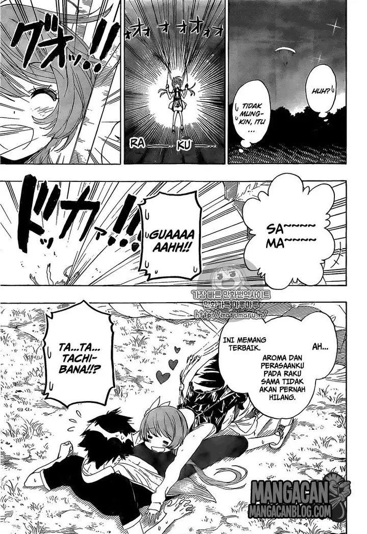 image-komik-nisekoi-chapter-219-11/20