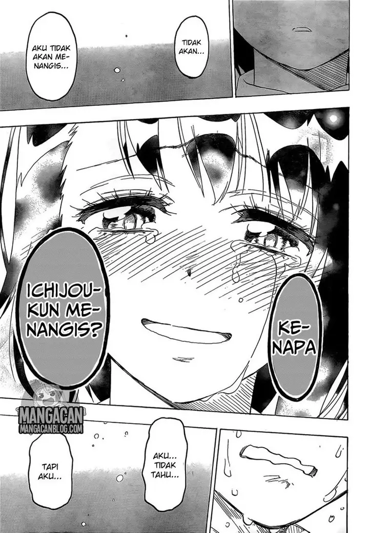 image-komik-nisekoi-chapter-225-16/19