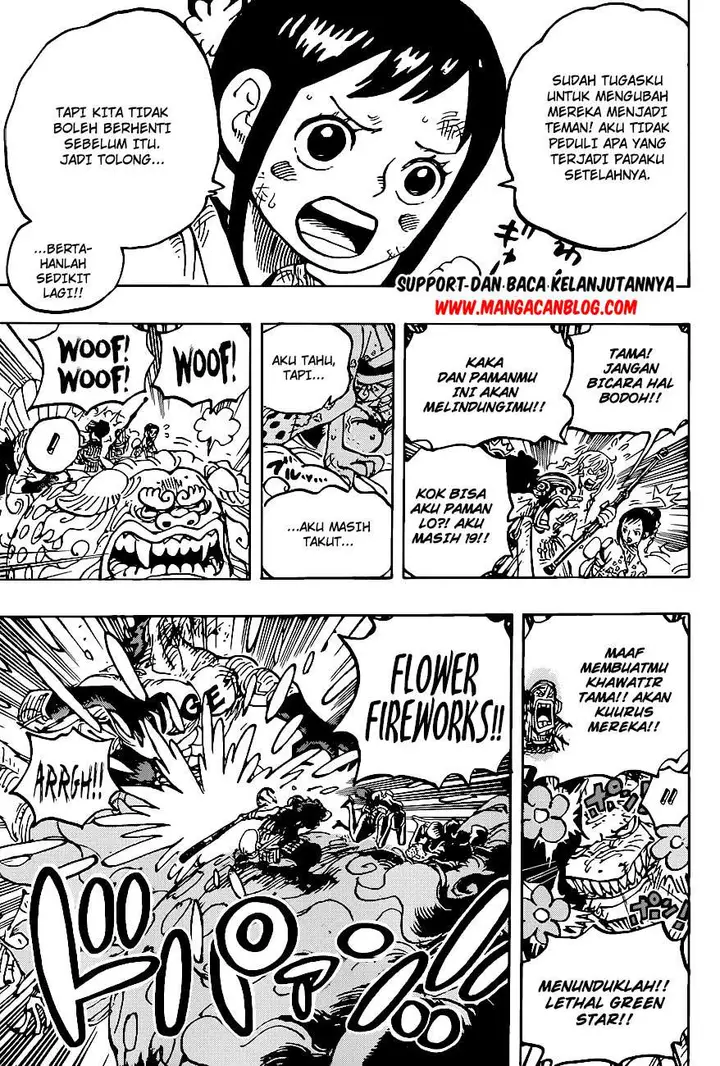 image-komik-one-piece-chapter-1011-12/18