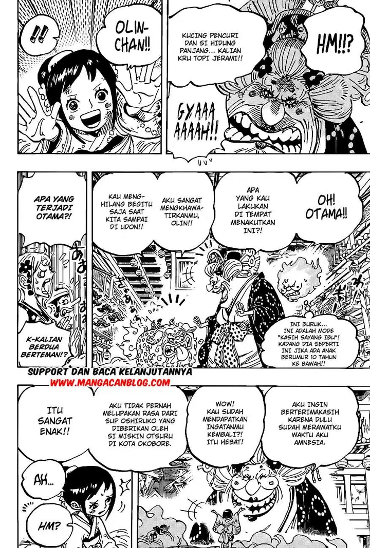 image-komik-one-piece-chapter-1011-15/18