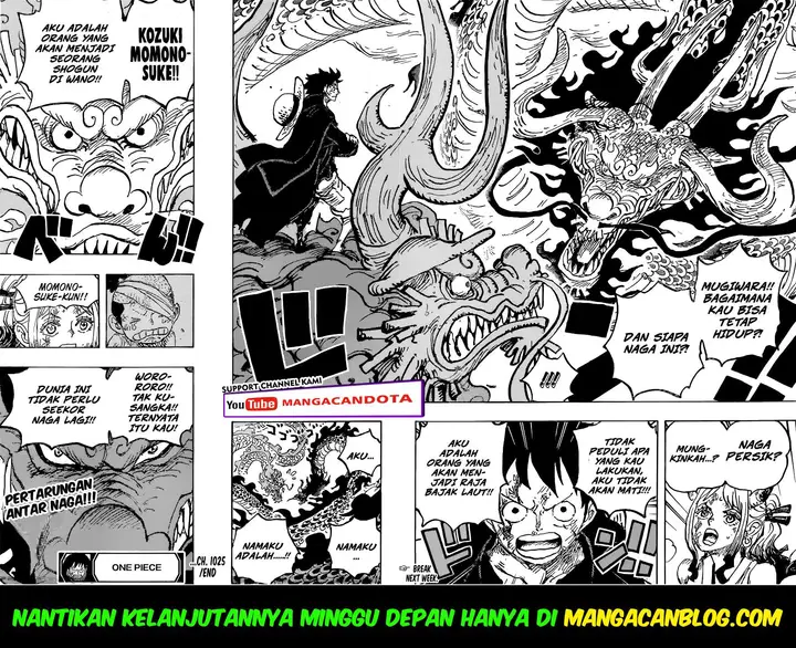 image-komik-one-piece-chapter-1025-14/15
