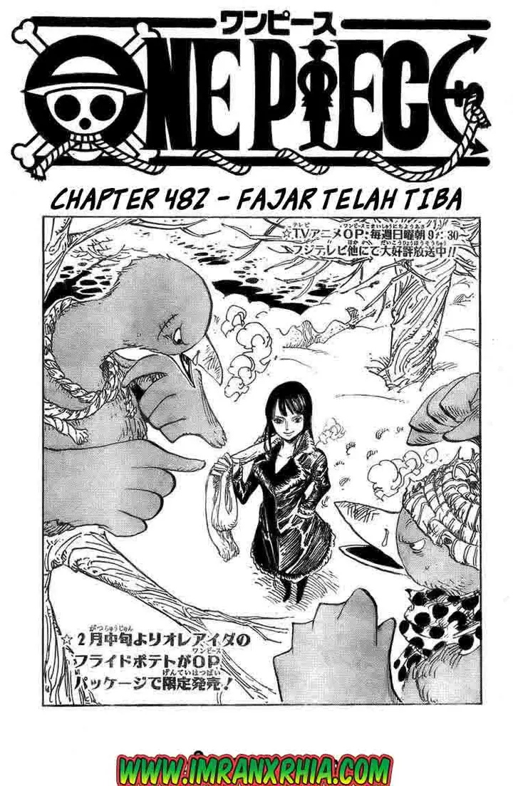 image-komik-one-piece-chapter-482-0/17