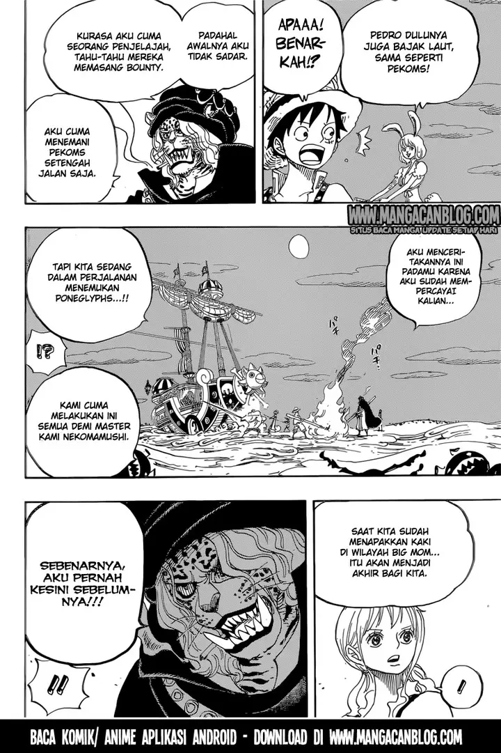 image-komik-one-piece-chapter-830-14/19