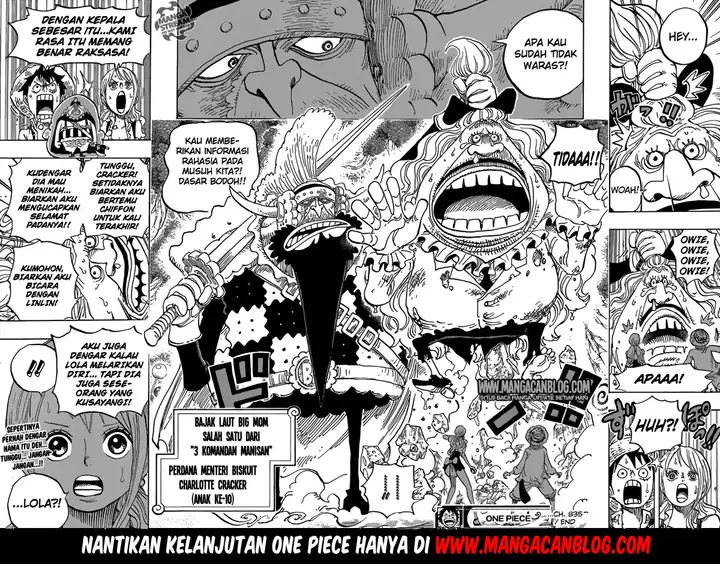 image-komik-one-piece-chapter-835-21/22