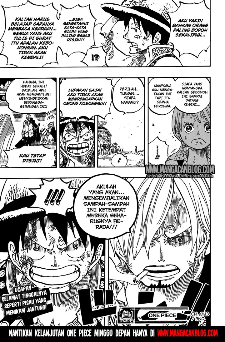 image-komik-one-piece-chapter-843-17/18