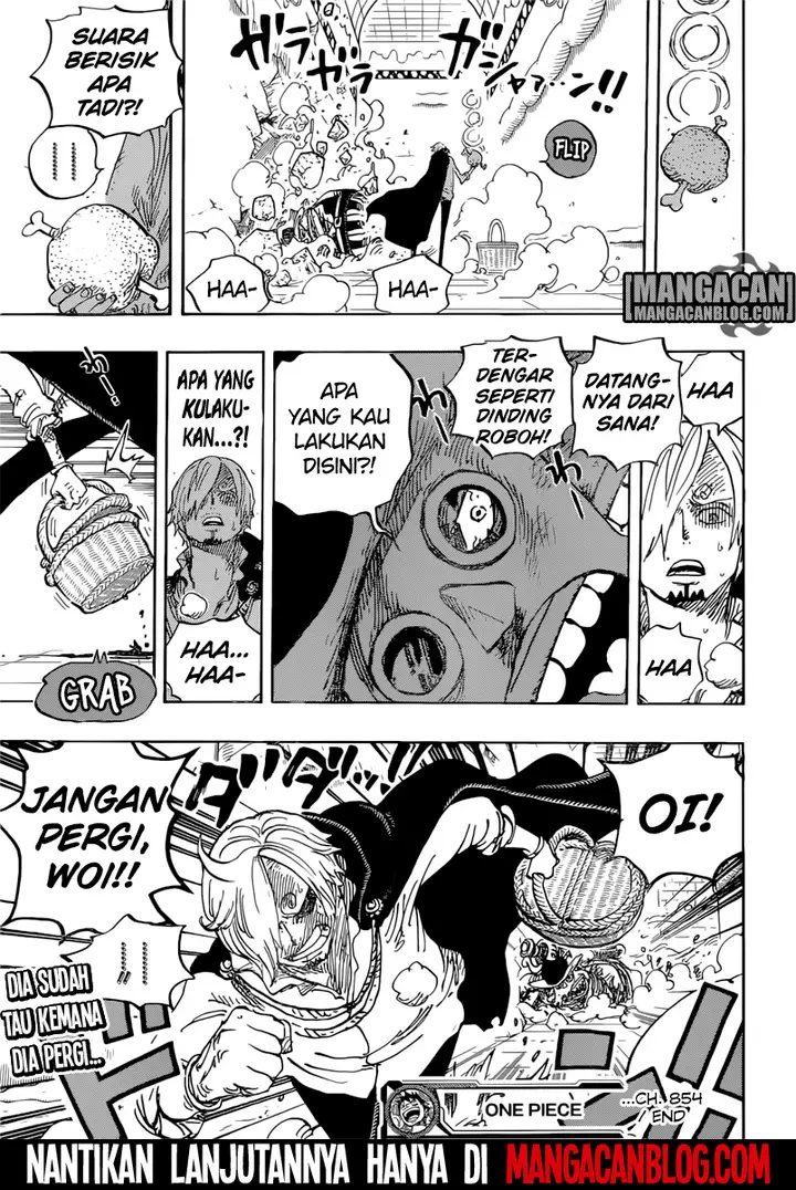 image-komik-one-piece-chapter-854-17/18
