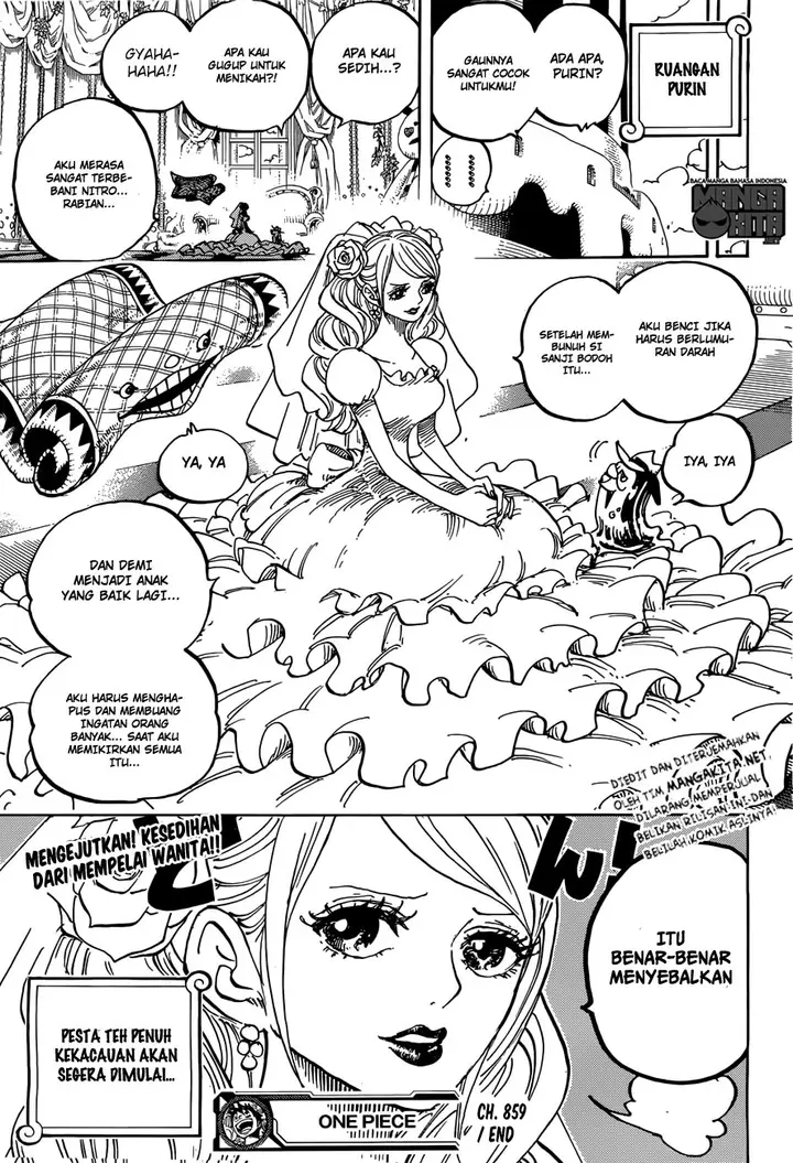 image-komik-one-piece-chapter-859-16/17