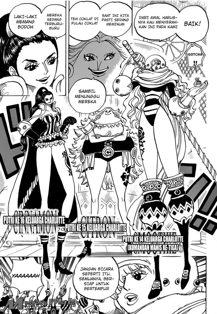 image-komik-one-piece-chapter-892-10/17