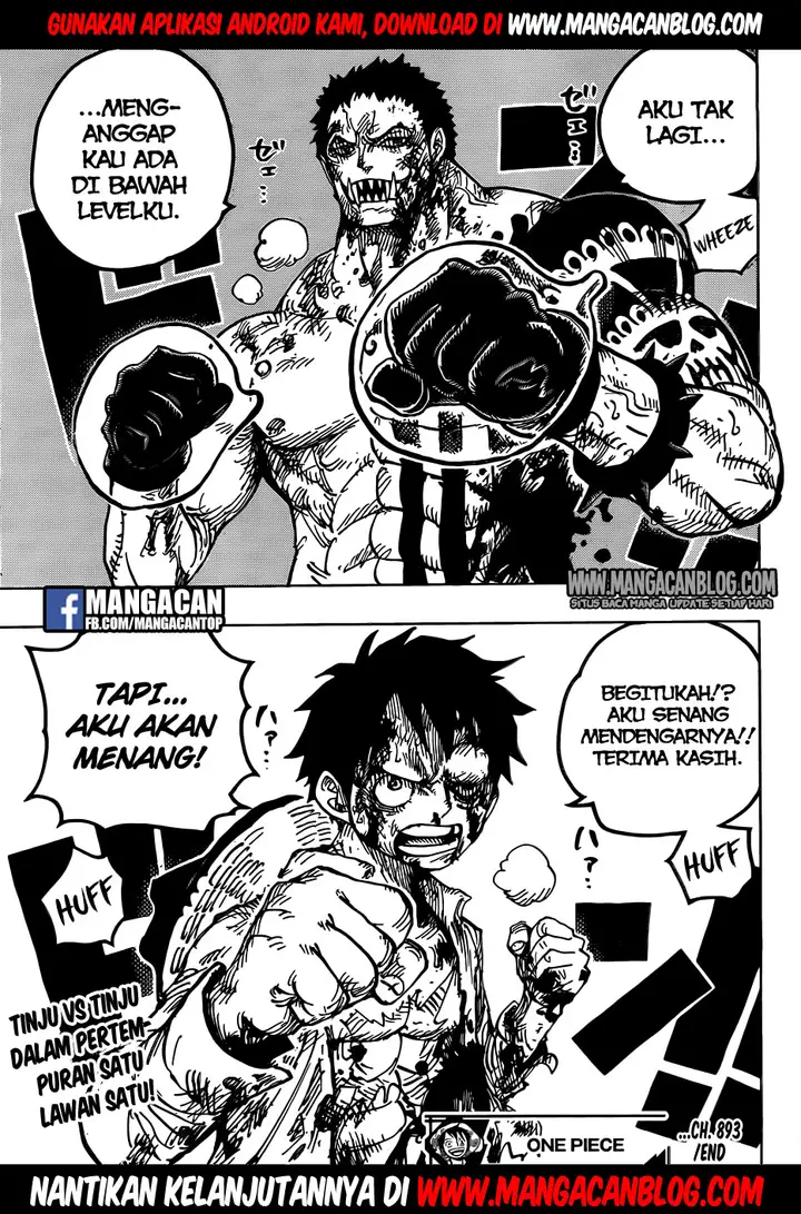 image-komik-one-piece-chapter-893-18/19