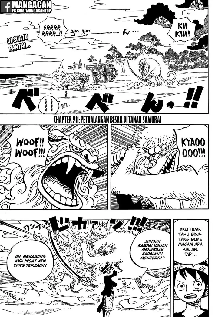 image-komik-one-piece-chapter-911-1/17