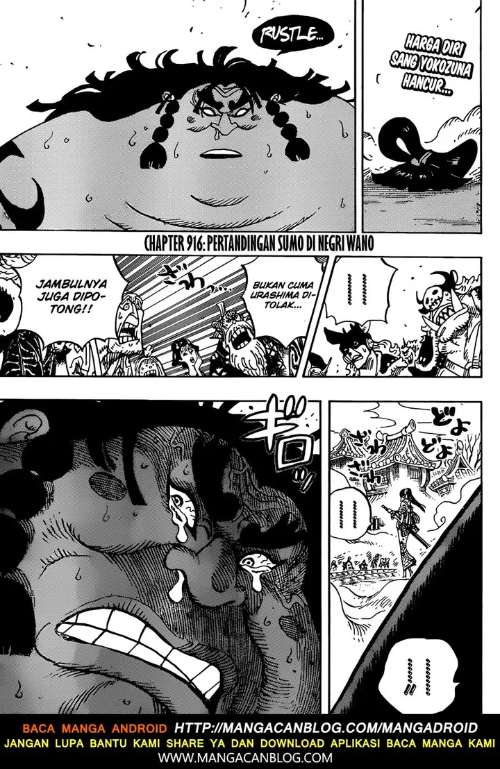 image-komik-one-piece-chapter-916-3/19