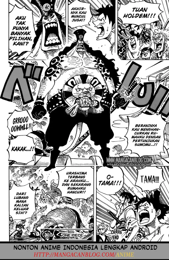 image-komik-one-piece-chapter-916-17/19