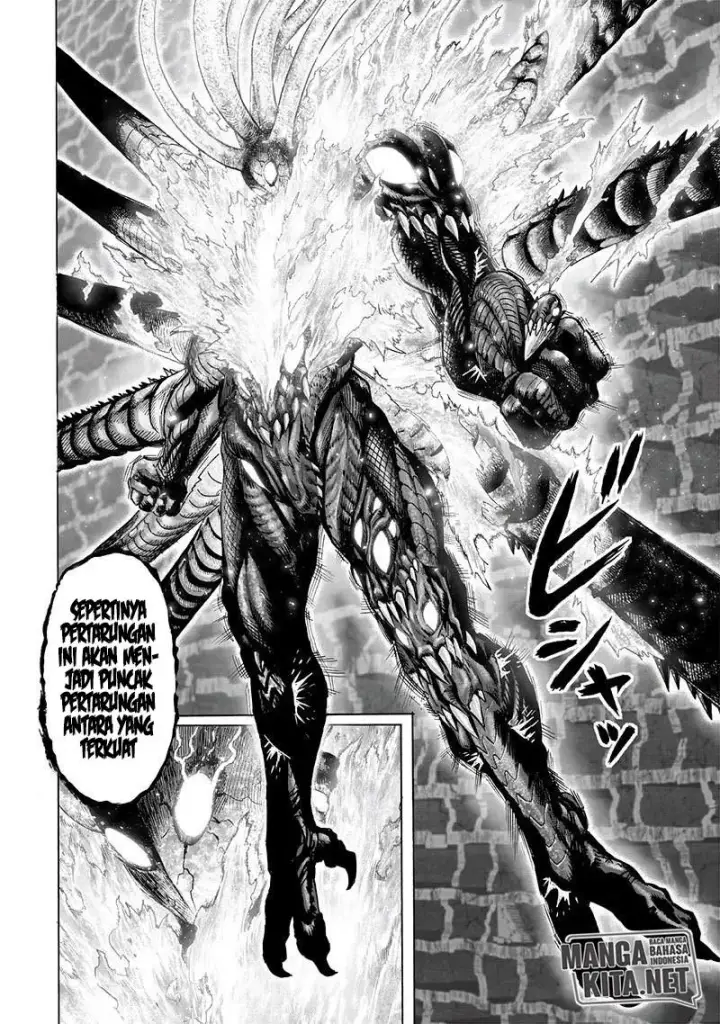 image-komik-one-punch-man-chapter-155-14/36