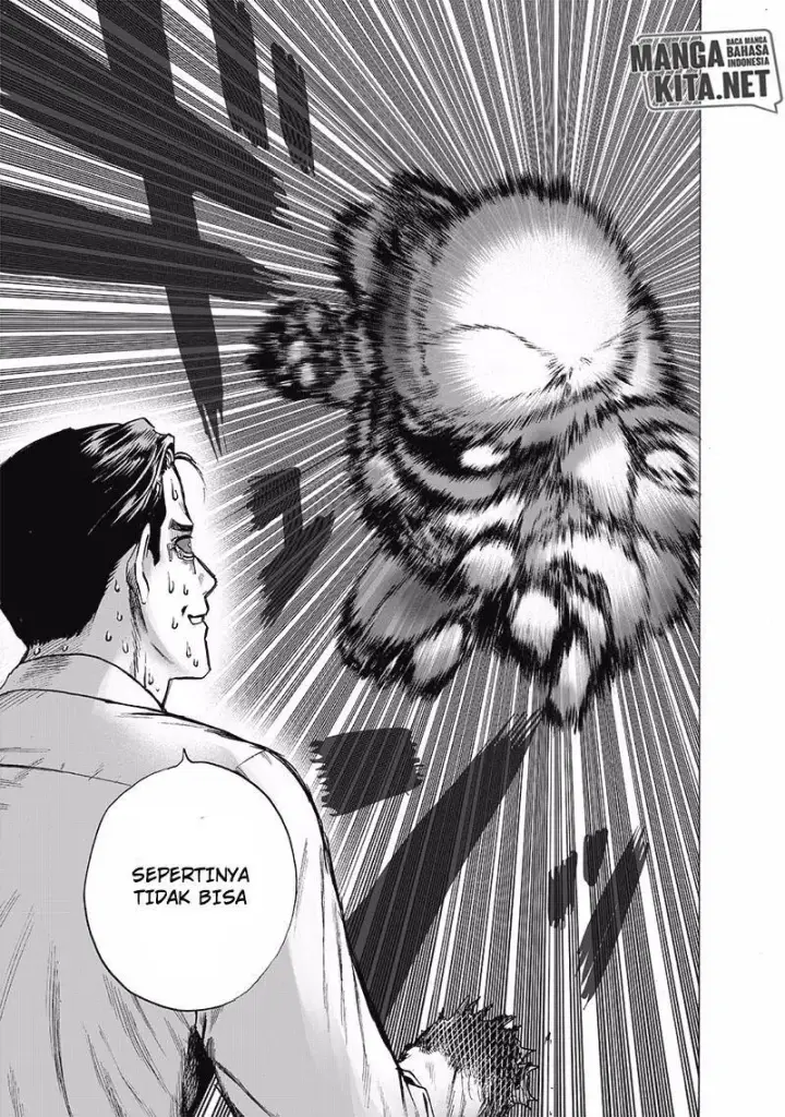 image-komik-one-punch-man-chapter-166-23/29
