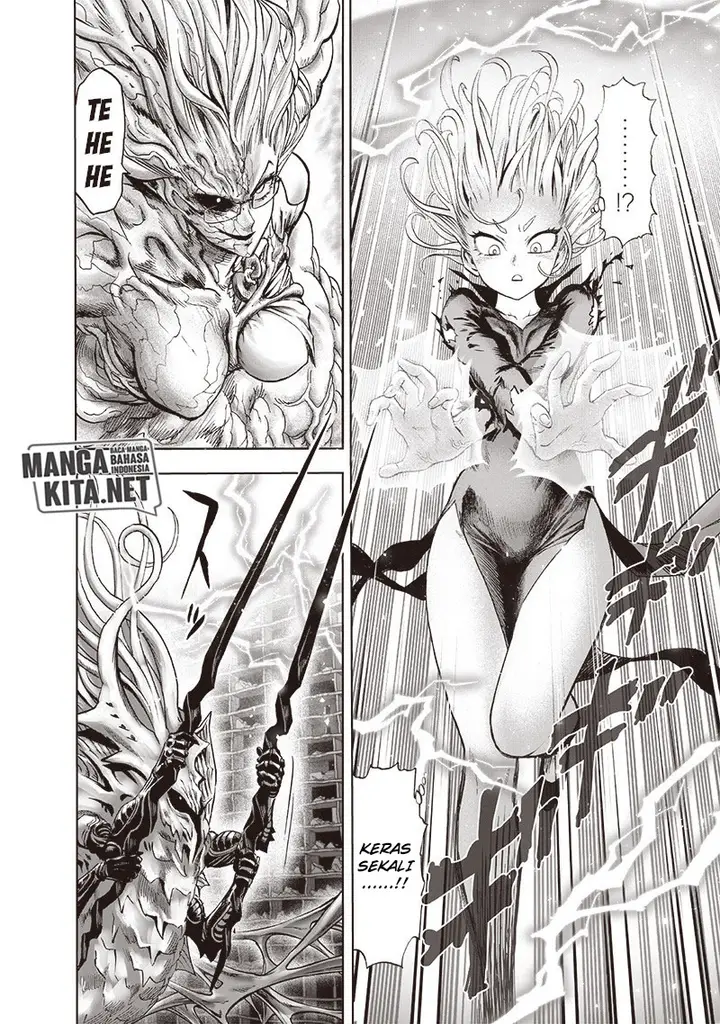 image-komik-one-punch-man-chapter-176-14/25