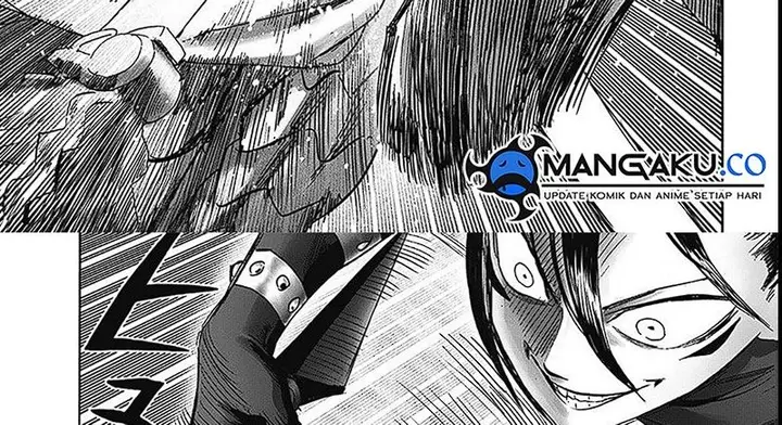 image-komik-one-punch-man-chapter-252.7-(198.5)-24/75