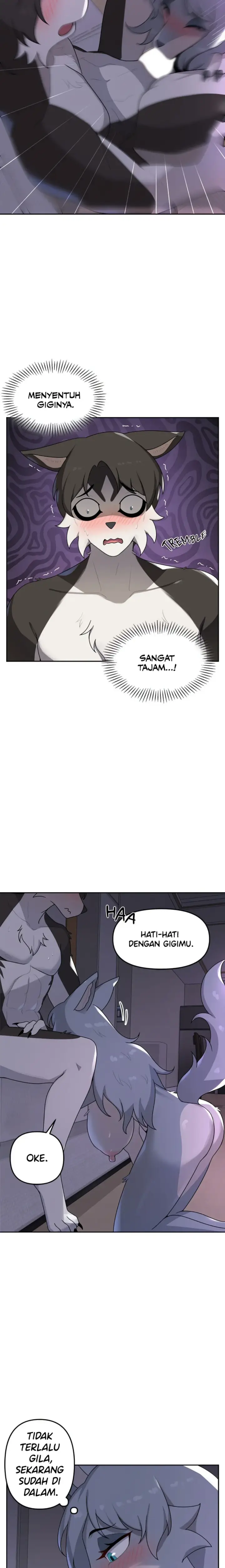 image-komik-paws-on-campus-manhwa-chapter-03-14/25