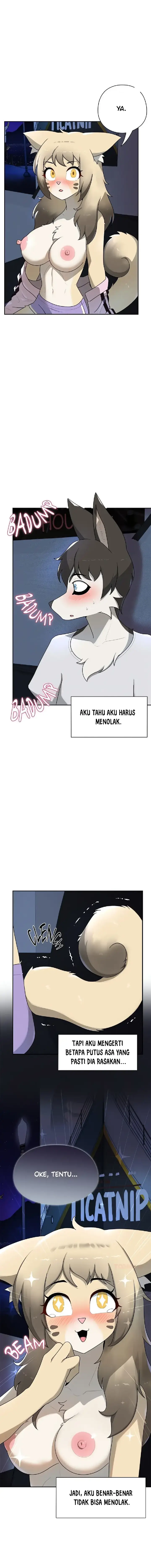 image-komik-paws-on-campus-manhwa-chapter-08-0/14