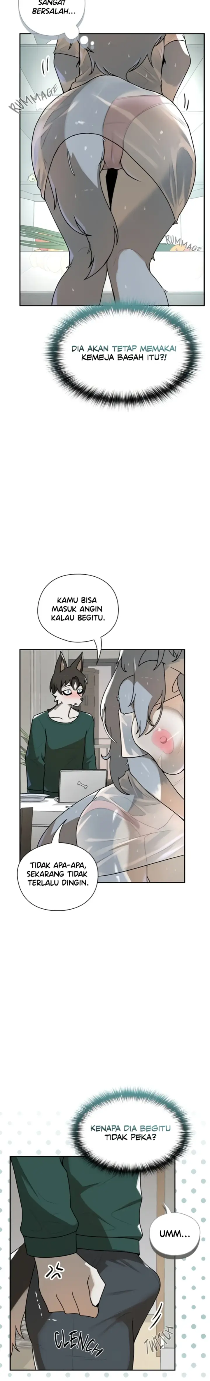 image-komik-paws-on-campus-manhwa-chapter-13-5/28