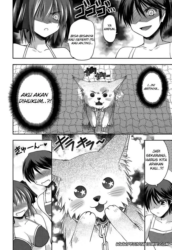 image-komik-perowan-hayaku-shinasai-goshujinsama-chapter-10-3/26