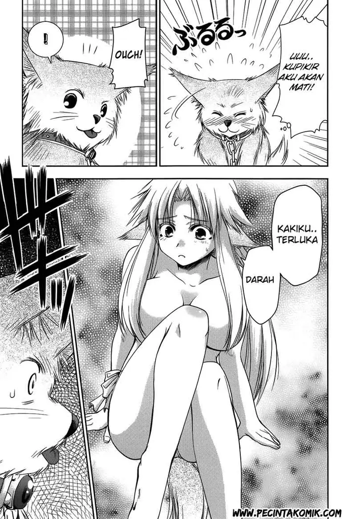 image-komik-perowan-hayaku-shinasai-goshujinsama-chapter-10-10/26