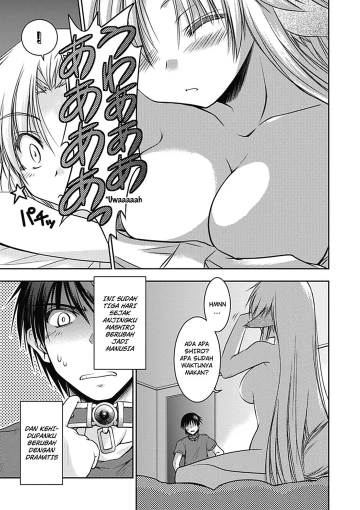 image-komik-perowan-hayaku-shinasai-goshujinsama-chapter-2-3/25