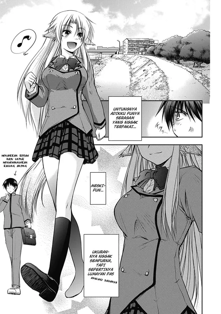 image-komik-perowan-hayaku-shinasai-goshujinsama-chapter-2-7/25