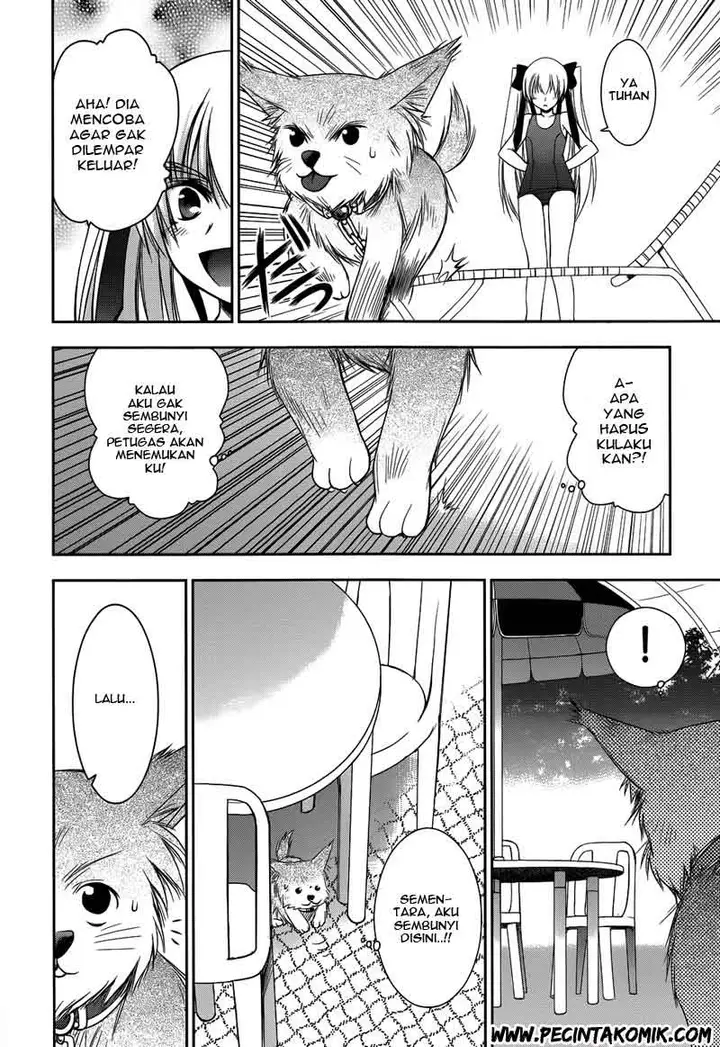 image-komik-perowan-hayaku-shinasai-goshujinsama-chapter-9-12/24