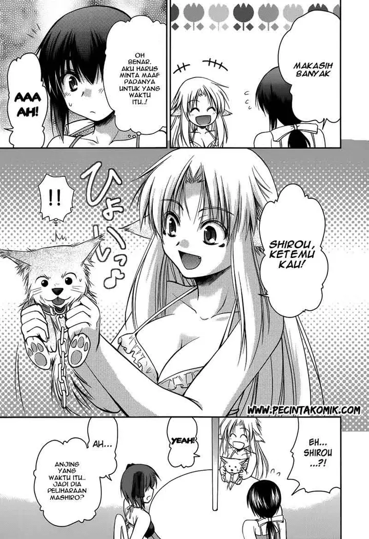 image-komik-perowan-hayaku-shinasai-goshujinsama-chapter-9-17/24