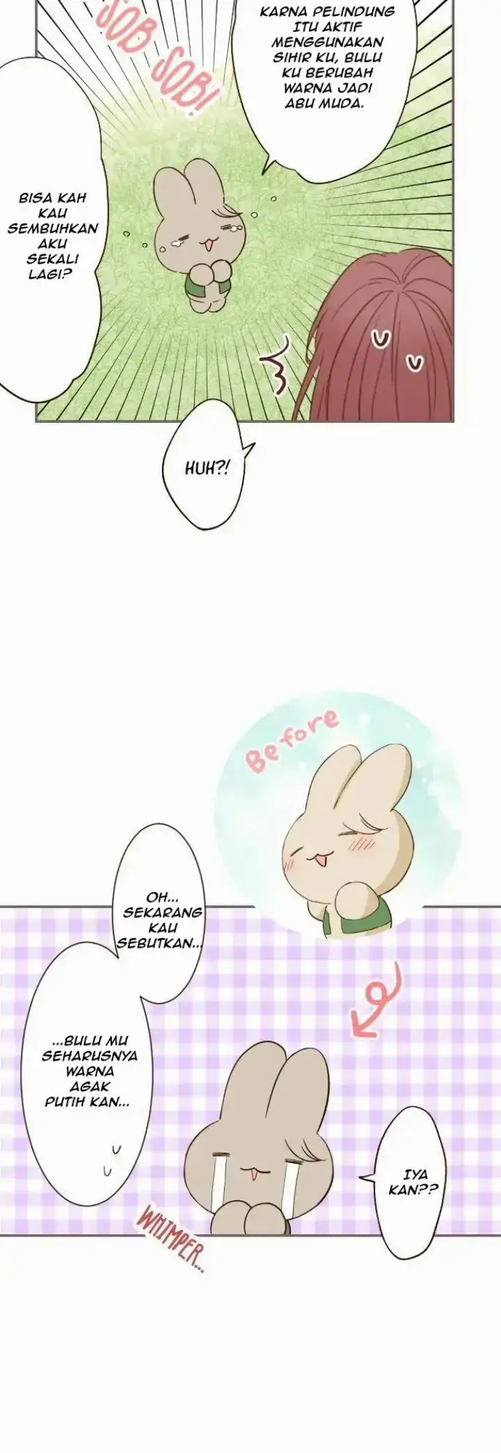 image-komik-protected-by-my-dragon-knight-chapter-14-17/29