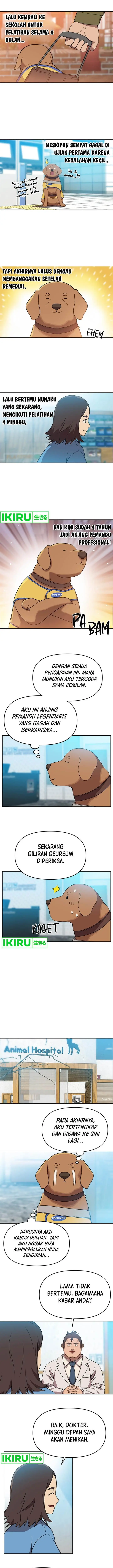 image-komik-rainbow-bridge-watchman-chapter-104-4/10