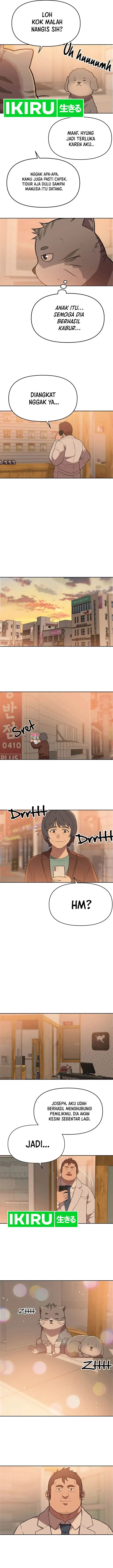 image-komik-rainbow-bridge-watchman-chapter-112-8/13