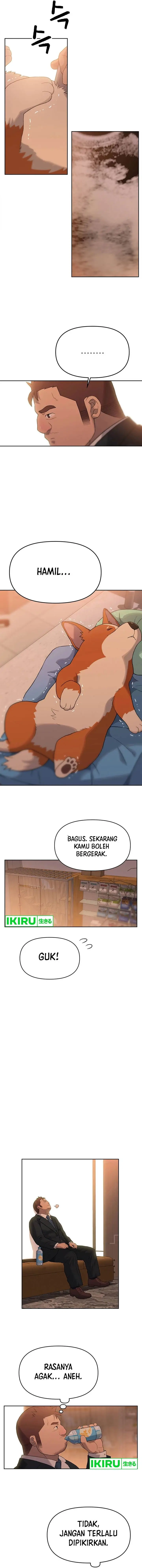 image-komik-rainbow-bridge-watchman-chapter-8-2/17