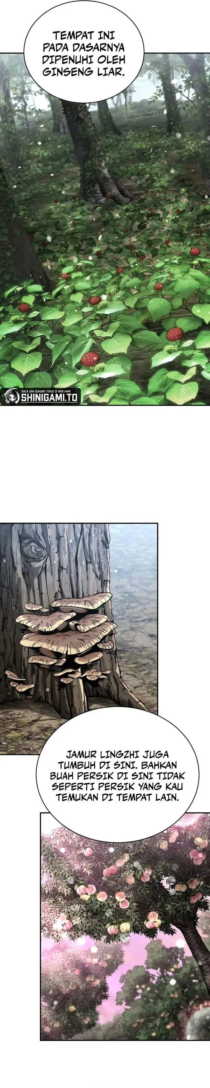 image-komik-reincarnation-of-the-fist-king-chapter-63-26/49