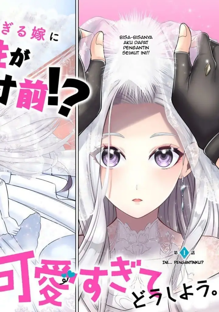 image-komik-rinkoku-kara-kita-yome-ga-kawaisugite-doushiyou-chapter-1-2/31