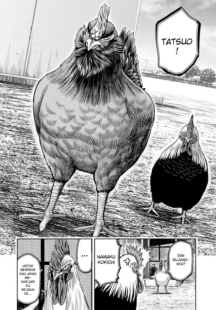 image-komik-rooster-fighter-chapter-11-15/52