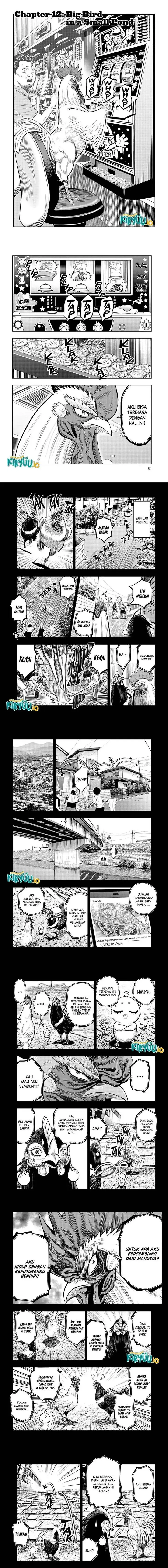 image-komik-rooster-fighter-chapter-12-0/5