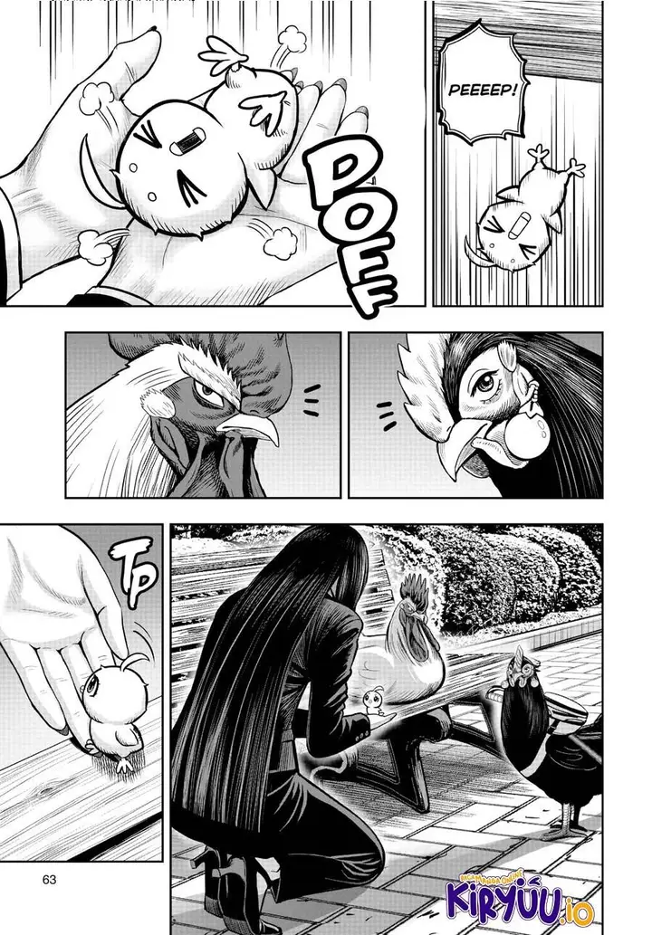 image-komik-rooster-fighter-chapter-17-35/37