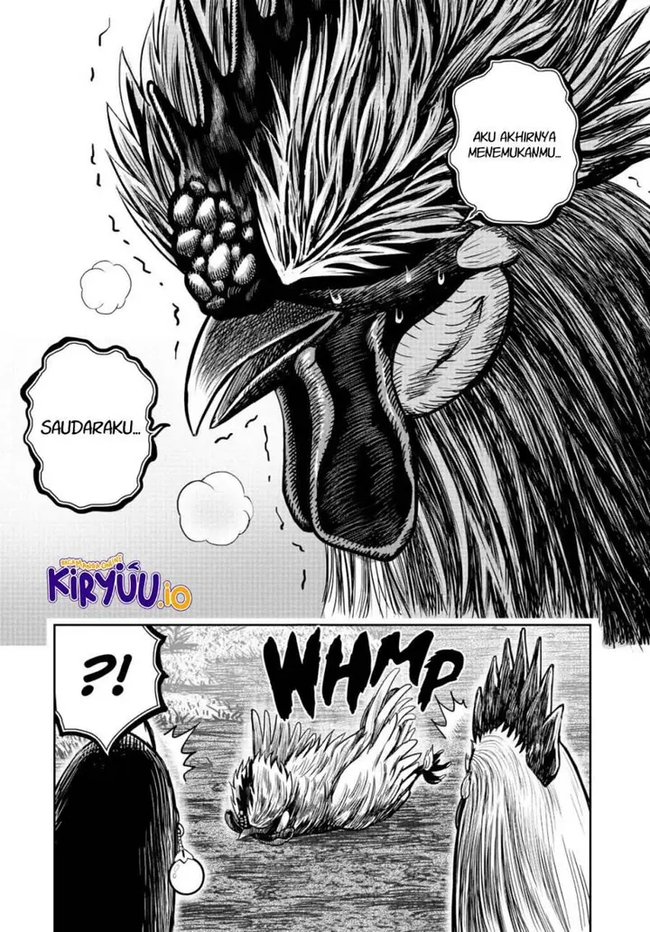 image-komik-rooster-fighter-chapter-18-32/34