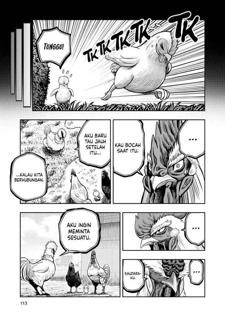 image-komik-rooster-fighter-chapter-19-15/41